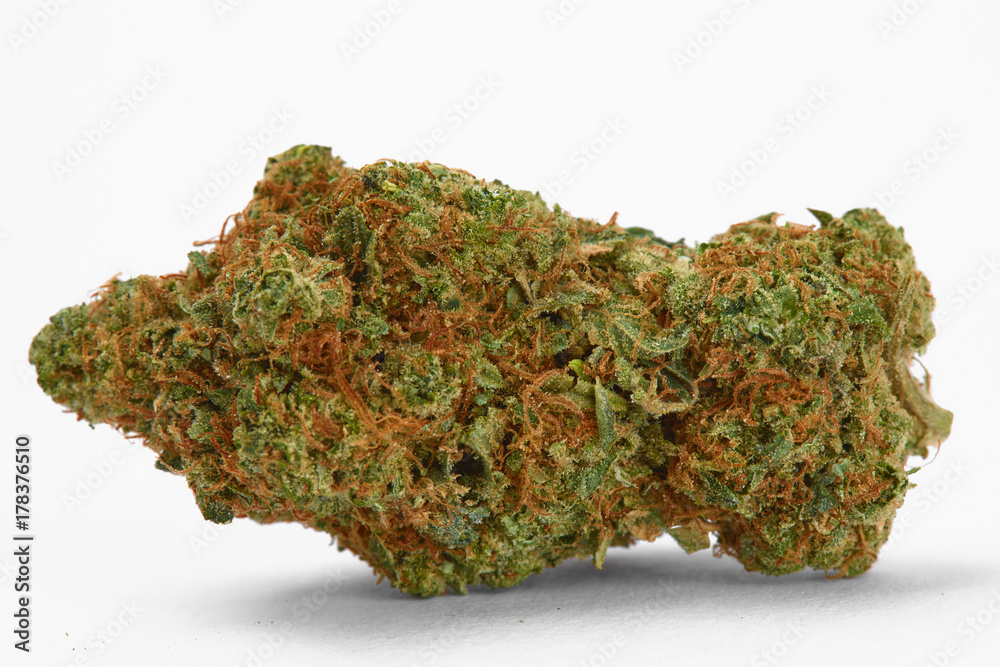 Close up of prescription medical marijuana flower Space Cowboy hybrid strain sativa dominant Close up of prescription medical marijuana flower Space Cowboy hybrid strain sativa dominant