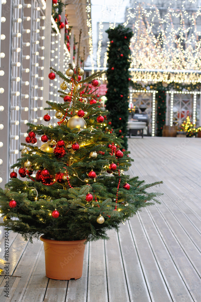 Decorated Christmas tree in pot on the street at the Festival Decorated Christmas tree in pot on the street at the Festival