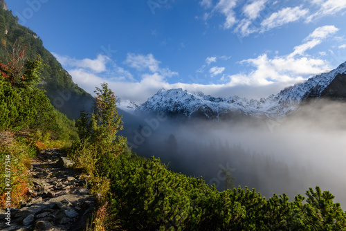 mist covered mountains with forests