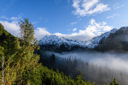 Fototapeta Naklejka Na Ścianę i Meble -  mist covered mountains with forests