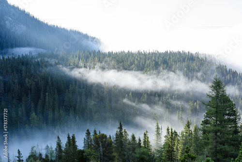 mist covered mountains with forests