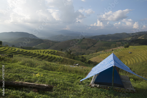 Travel and Relaxation with beautiful nature at Bongpieng forest, Chiangmai, Thailand.