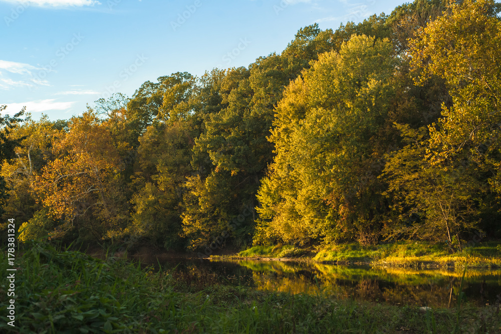 Fall Colors