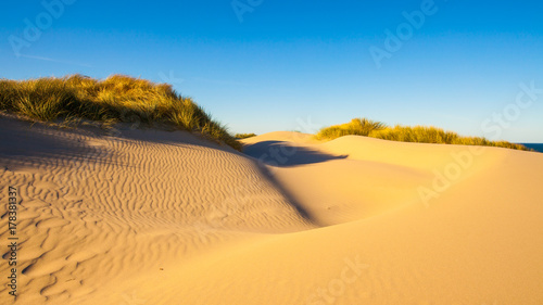 Sand dunes and grasses on a beach