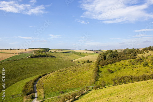 wooded valley with road