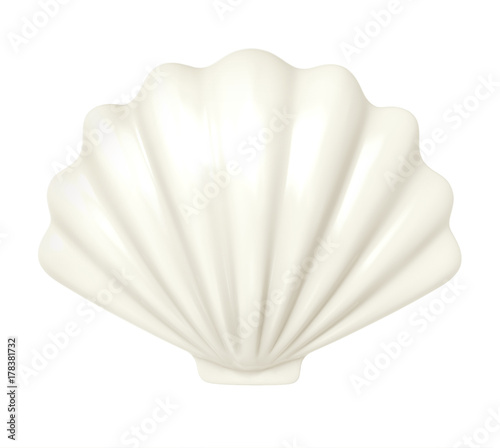 White seashell. 3d illustration isolated on white background