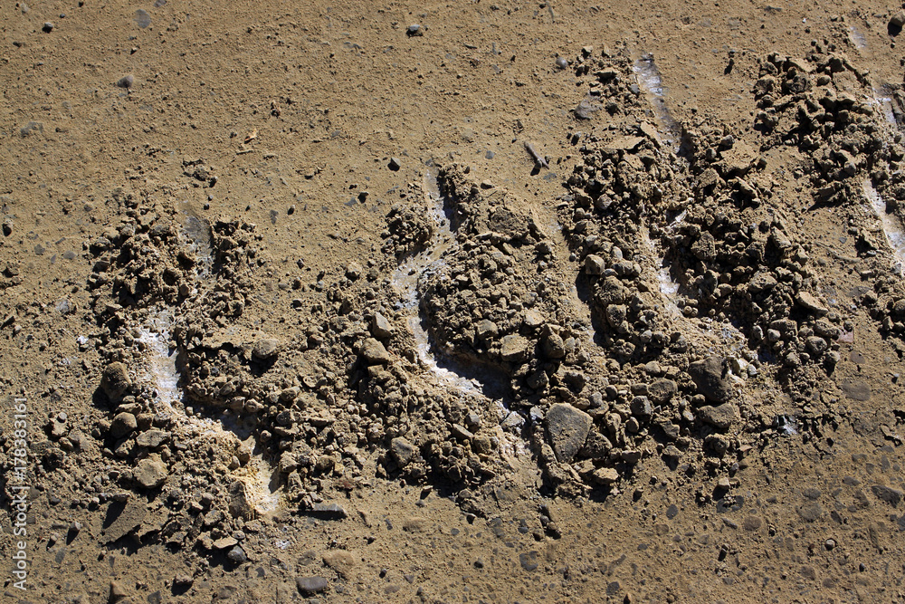 Track of a crawler tractor on a dirt road Track of a crawler tractor on a dirt road