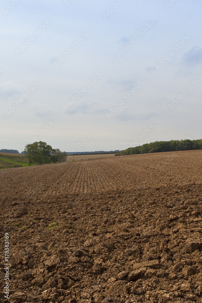 woodland and plow soil woodland and plow soil