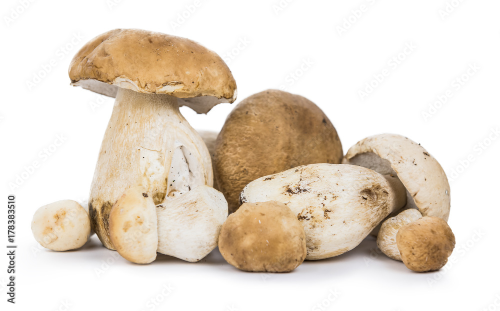 Porcinis (raw) isolated on white background Porcinis (raw) isolated on white background