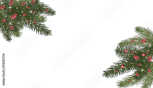  Christmas trees, isolated. Branches of Christmas trees and red berries, snowflakes.