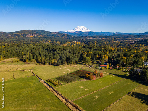 Mount Rainier forrest in the fall