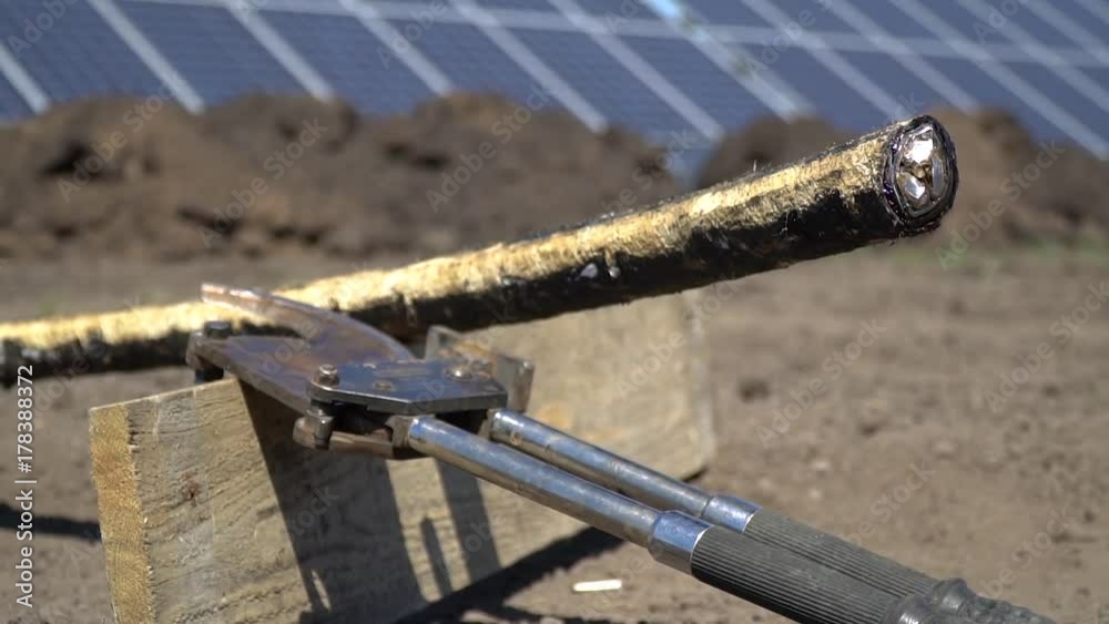 Cropped thick power cable near the jaws against the background of solar panels Cropped thick power cable near the jaws against the background of solar panels