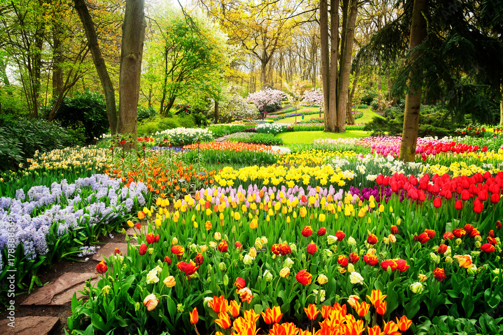 Fototapeta premium Kolorowi tulipanów Flowerbeds i ścieżka w wiosna Formalnym ogródzie, retro stonowany
