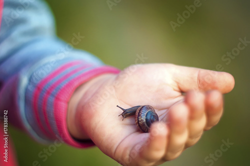 Child's hand holding the snail.