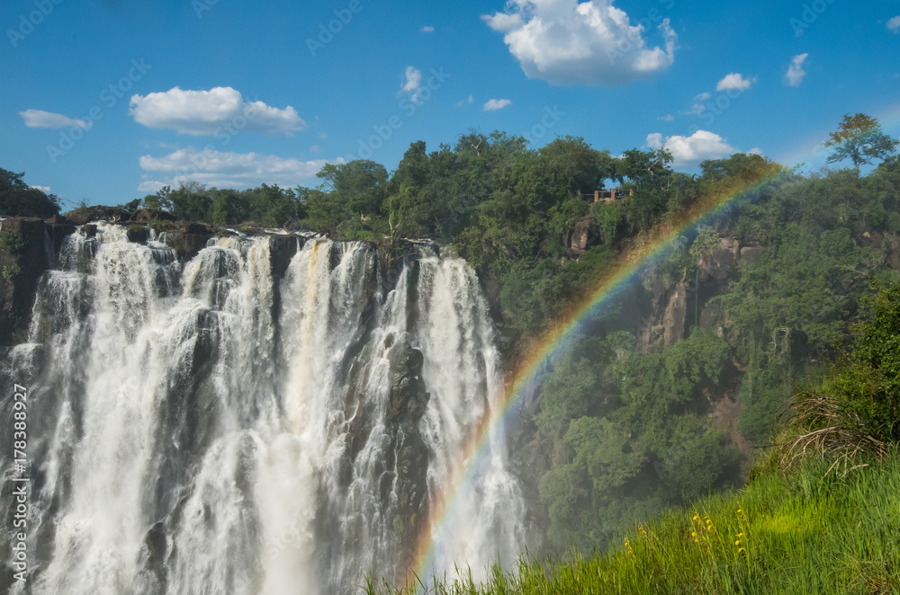 Obraz premium Victoria Falls