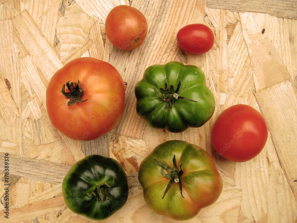 Tomatoes on a table in contrast colors green, red. Harvest of autumn background or texture for fall theme. Symbol or sign of odds, vary and discrepancy. Flat layout view Tomatoes on a table in contrast colors green, red. Harvest of autumn background or texture for fall theme. Symbol or sign of odds, vary and discrepancy. Flat layout view