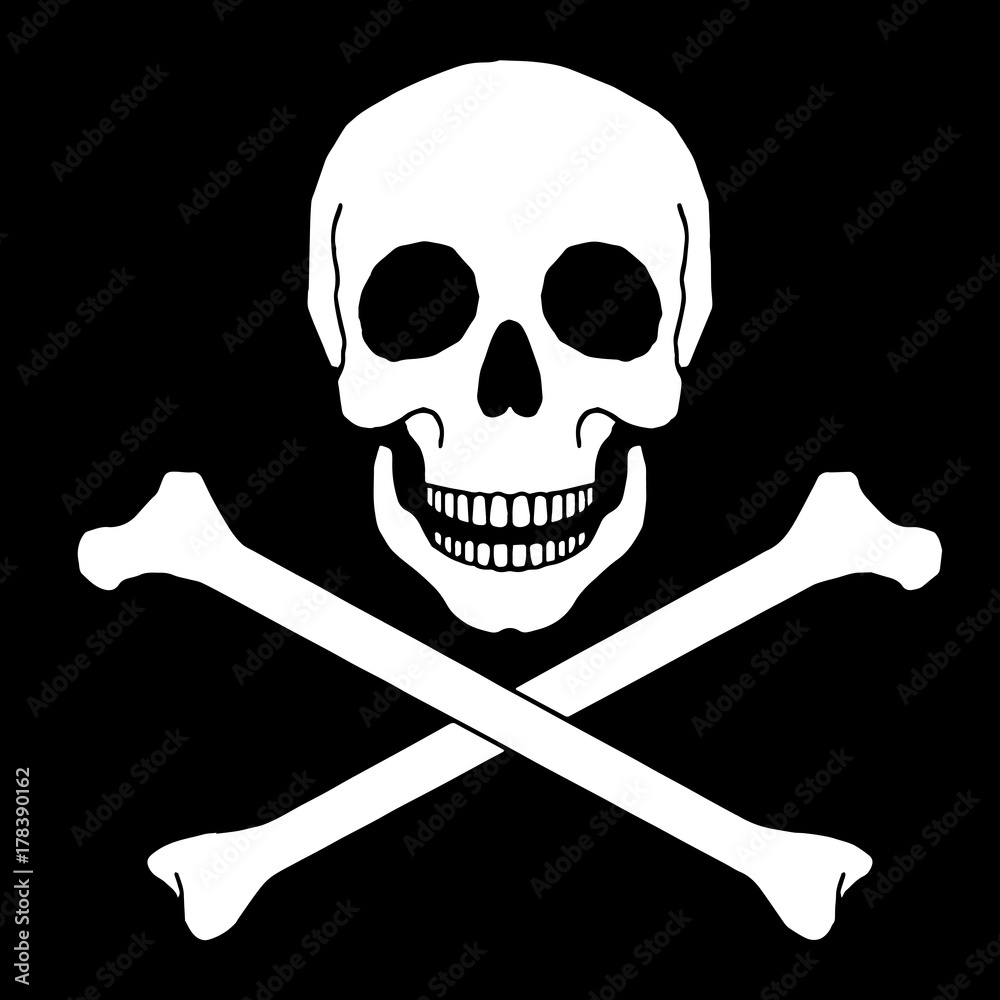 Human skeleton set. Human skeleton set.