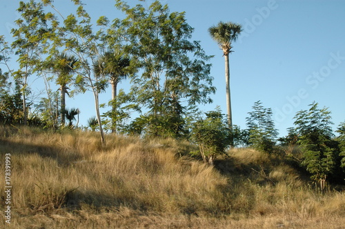 Kuba - Comandancia von Fidel Castro und Ché Guevara in der Sierra Maestra
