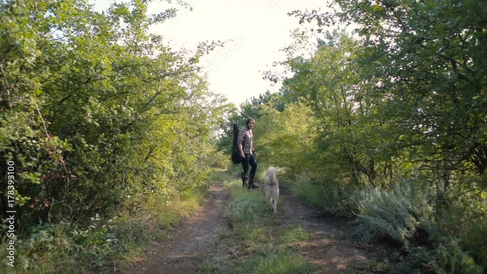 man with guitar walking with two siberian husky dogs in forest man with guitar walking with two siberian husky dogs in forest