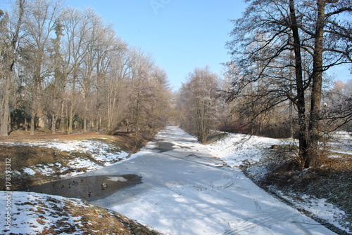 Zima w parku