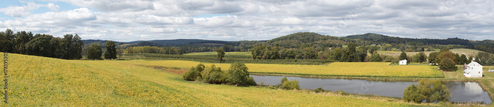 Rural Panoramic