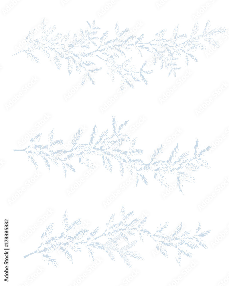 set of christmas snowy  branch,  isolated on white