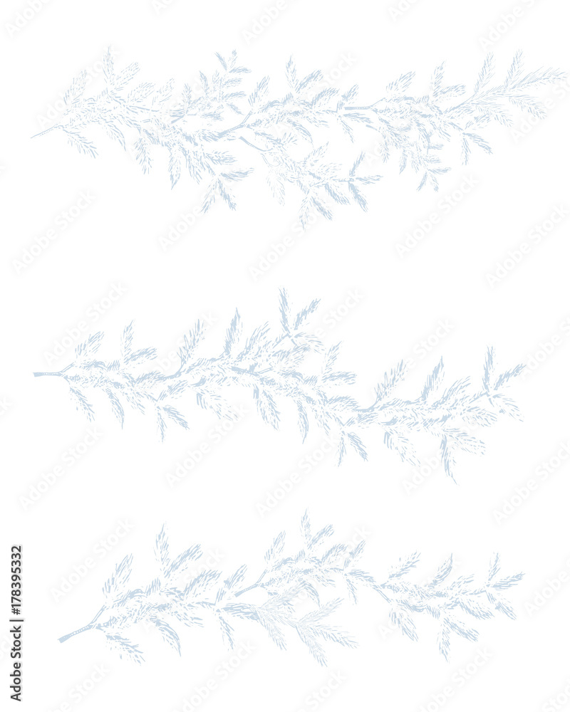 Obraz premium set of christmas snowy branch, isolated on white