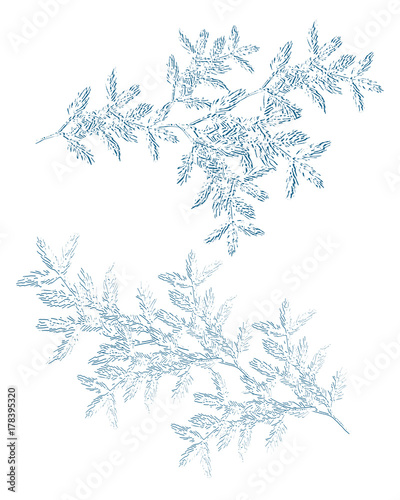 set of christmas snowy branch, isolated on white