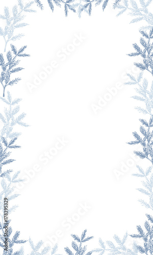 winter background with snowy christmas branch 