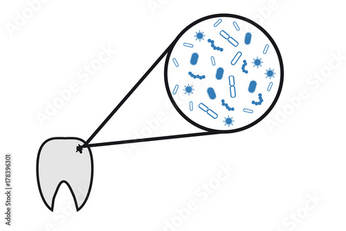 bacteria on the tooth photo