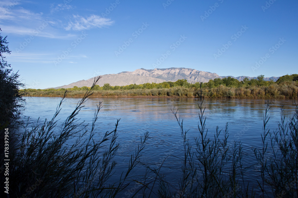 Sandias