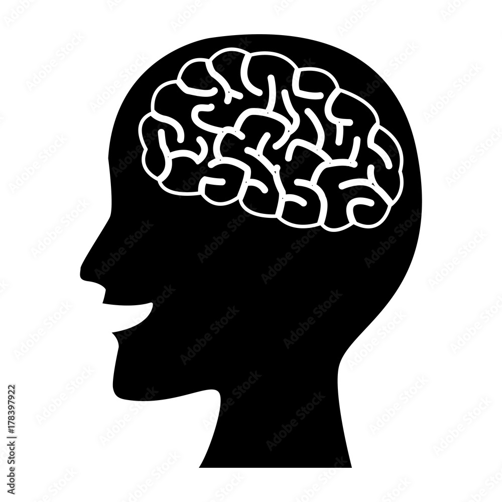 Human brain head silhouette icon vector illustration graphic design Human brain head silhouette icon vector illustration graphic design