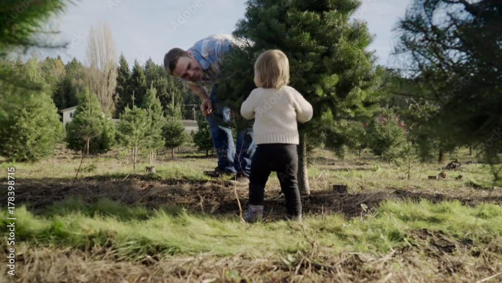 Full shot of a father playing with his child at a tree farm Full shot of a father playing with his child at a tree farm