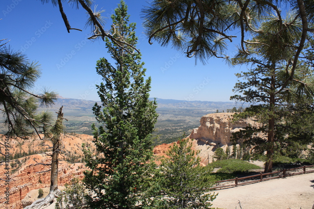 Obraz premium Bryce Canyon