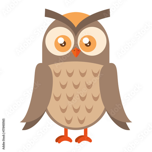 owl bird isolated icon