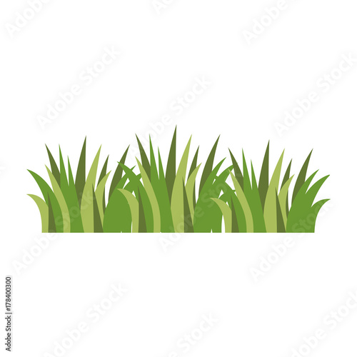grass field isolated icon