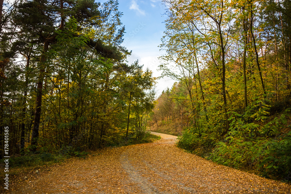 Naklejka premium Autumn road