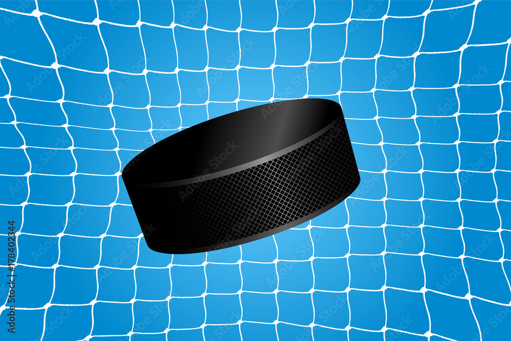 Obraz premium Goal - a hockey puck in the net