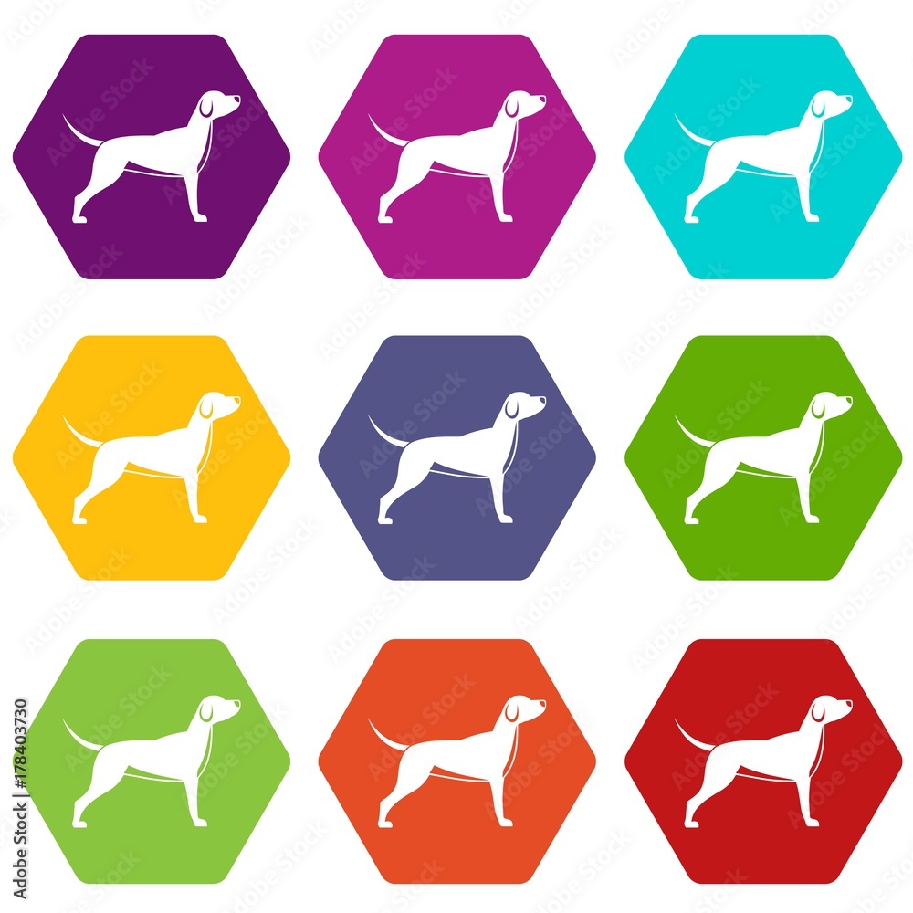 Dog icon set color hexahedron Dog icon set color hexahedron