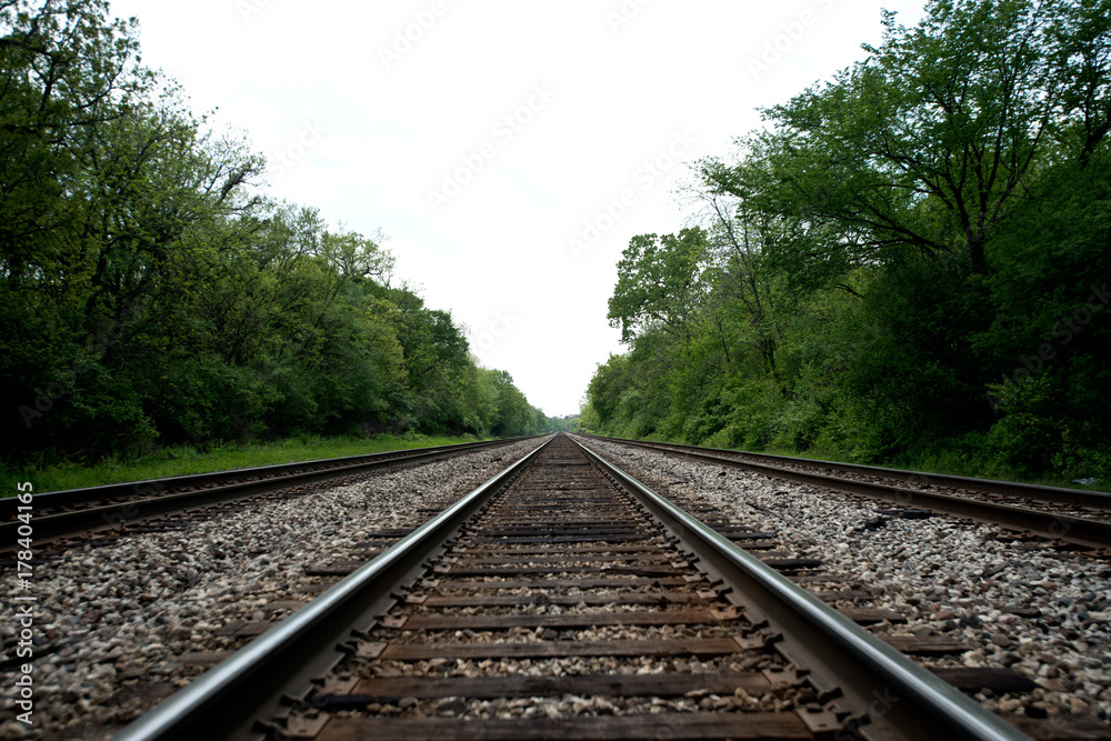 View of the railroad tracks with trees on side View of the railroad tracks with trees on side