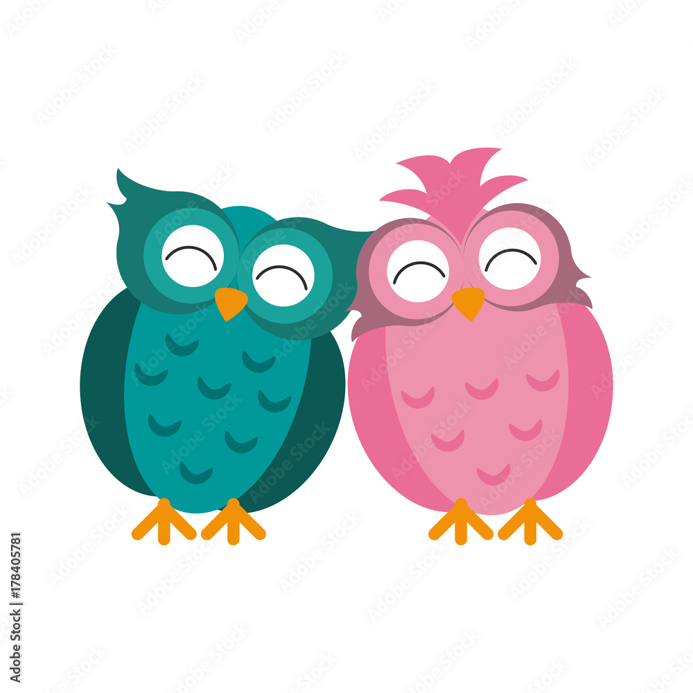 Fototapeta premium owls lovebirds romance icon image vector illustration design 