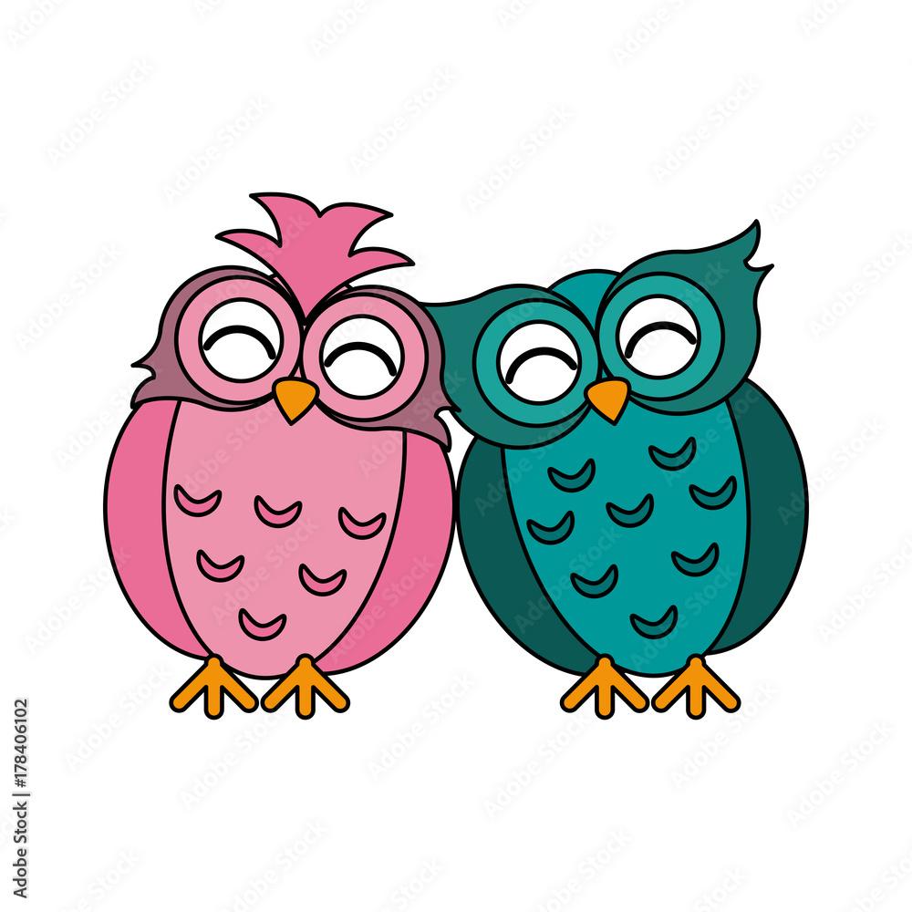 owls lovebirds romance icon image vector illustration design 