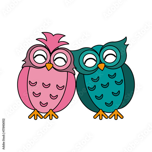 owls lovebirds romance icon image vector illustration design 