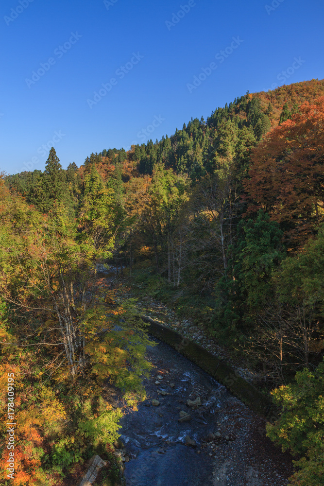 秋の見返り橋からみた佐梨川の風景 秋の見返り橋からみた佐梨川の風景