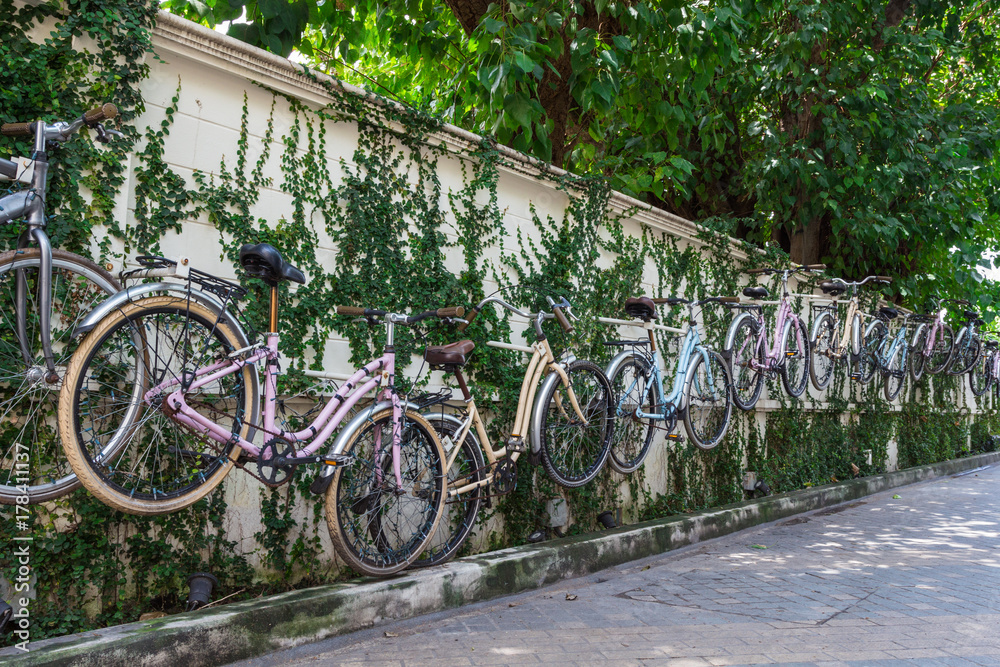 自転車・アート : Bicycle Art in the city