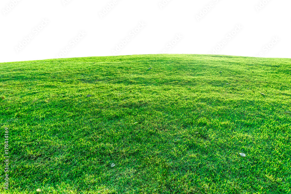 Fototapeta premium Green grass on a mound. It is isolated on white background.