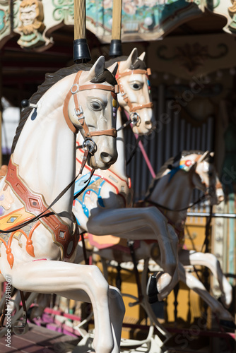 White horses of the antique carousel