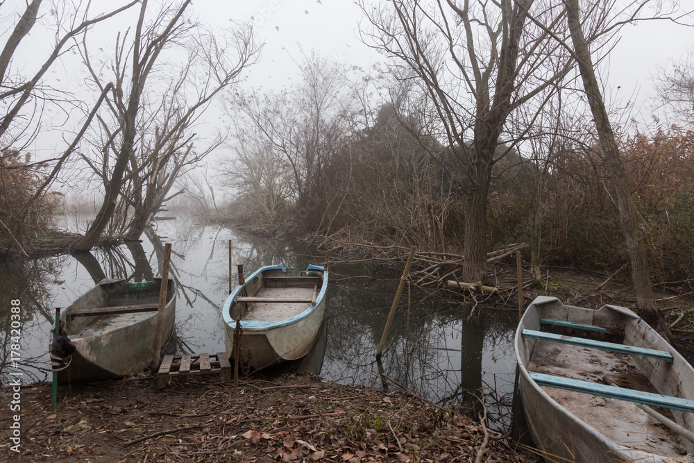 Some small fishing boat docked in a pond of water in the middle of fog, with trees and flying birds in the background Some small fishing boat docked in a pond of water in the middle of fog, with trees and flying birds in the background