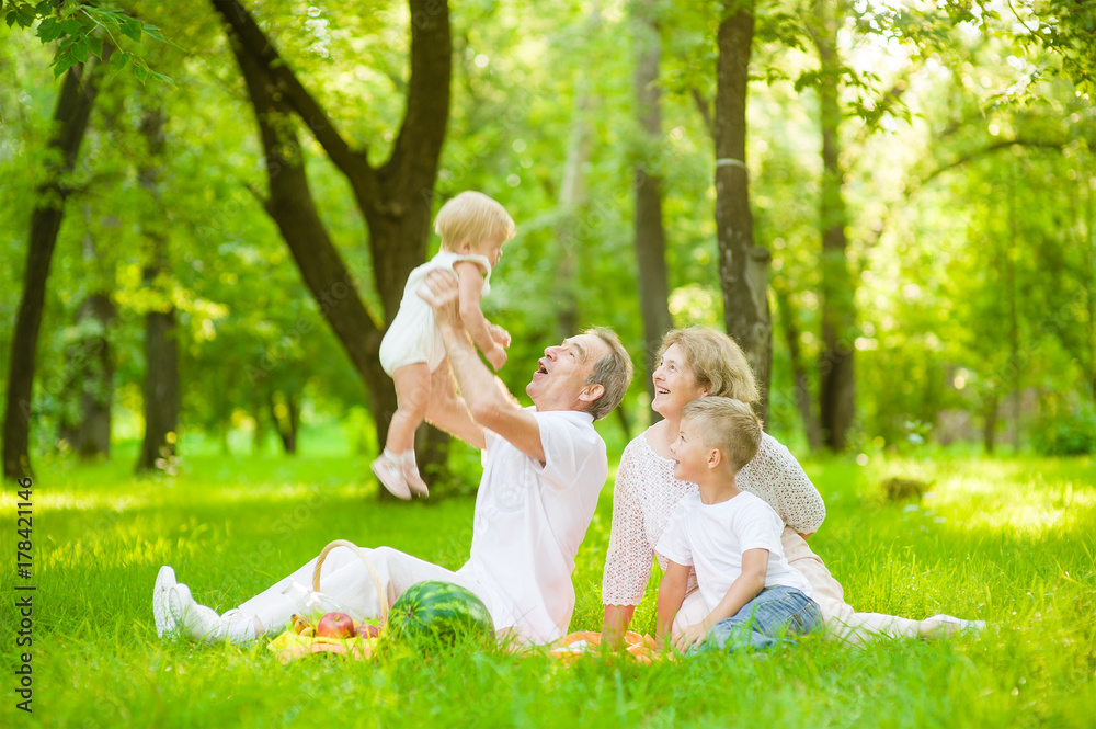 Fototapeta premium Grandmother and grandfather having fun on a picnic in nature