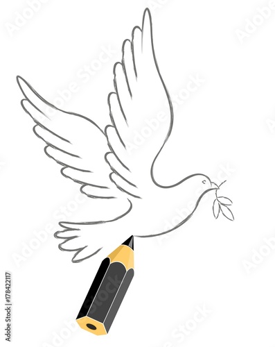 Sketch of the flying pigeon.